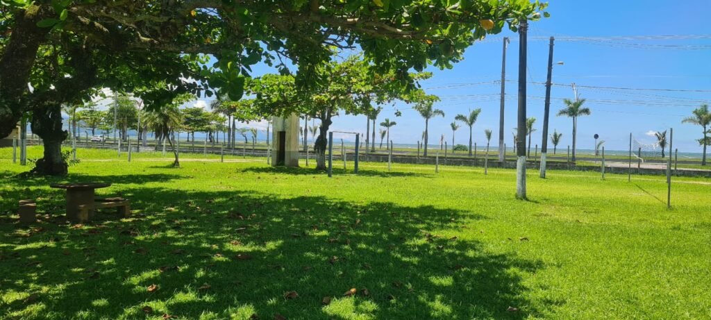 Colônia segue firme e forte