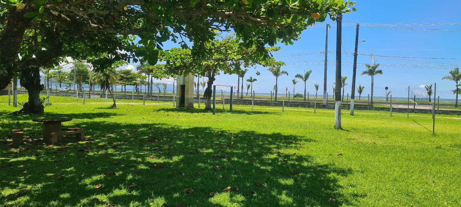 Colônia segue firme e forte