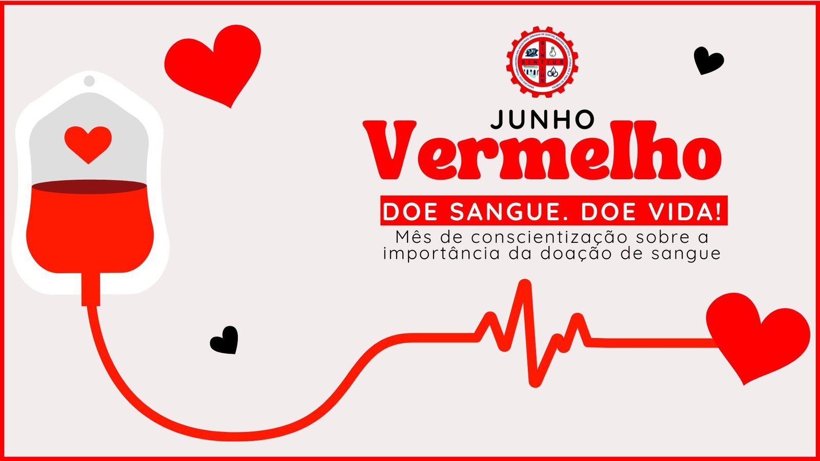 04 06 2024 JUNHO VERMELHO 1